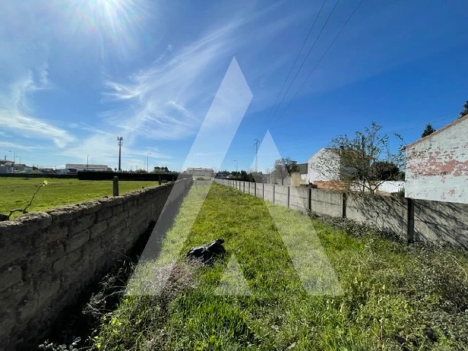 Terreno para Venda em Trofa, Segadães e Lamas do Vouga Foto 7