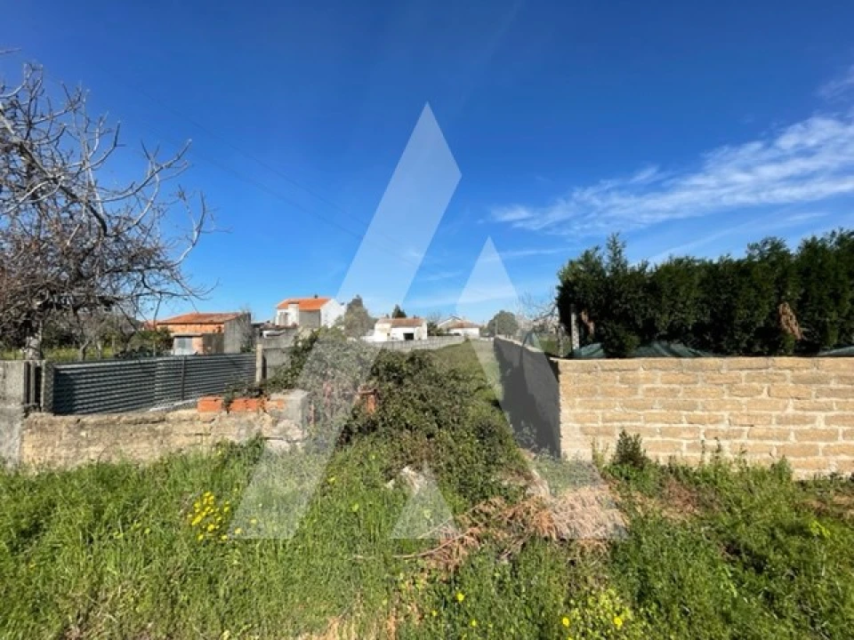 Terreno para Venda em Trofa, Segadães e Lamas do Vouga Foto 8