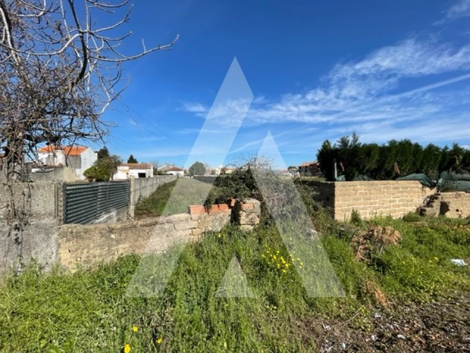 Terreno para Venda em Trofa, Segadães e Lamas do Vouga Foto 9
