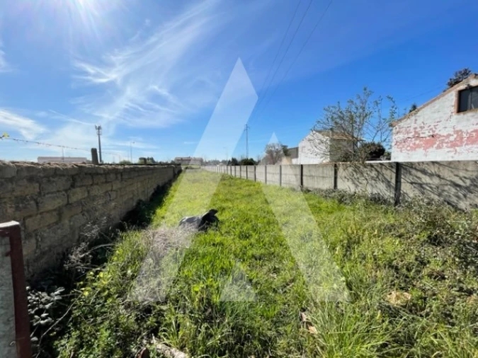 Terreno para Venda em Trofa, Segadães e Lamas do Vouga Foto 2