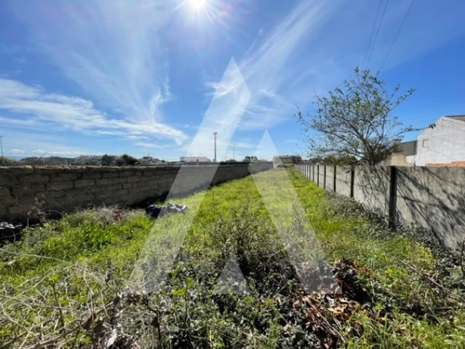 Terreno para Venda em Trofa, Segadães e Lamas do Vouga Foto 5