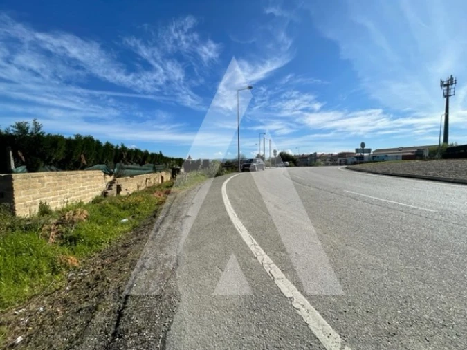 Terreno para Venda em Trofa, Segadães e Lamas do Vouga Foto 12