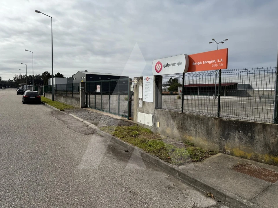 Terreno para Venda em Cadima Foto 5