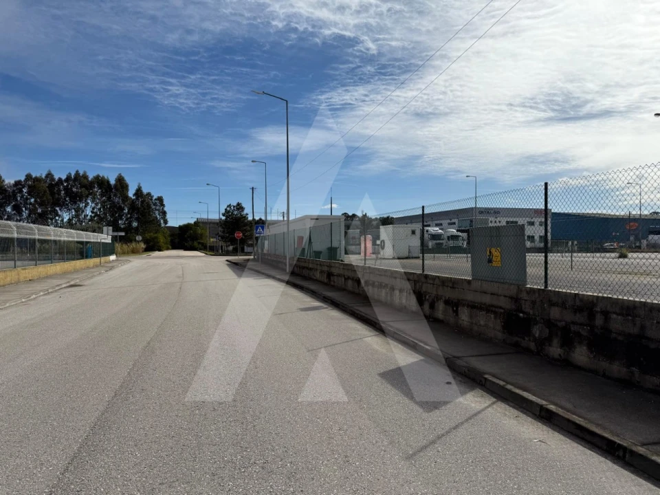 Terreno para Venda em Cadima Foto 6