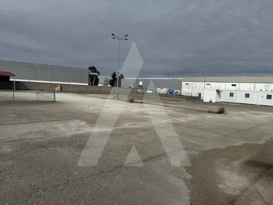 Terreno para Venda em Cadima Foto 2