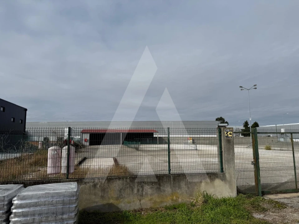 Terreno para Venda em Cadima Foto 10