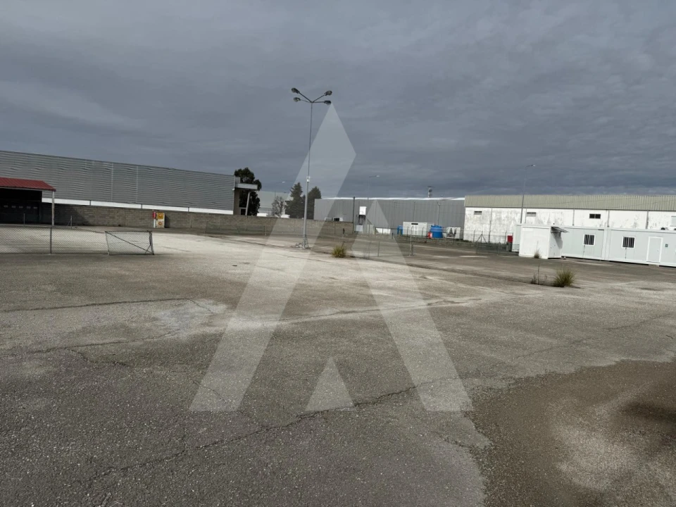 Terreno para Venda em Cadima Foto 11