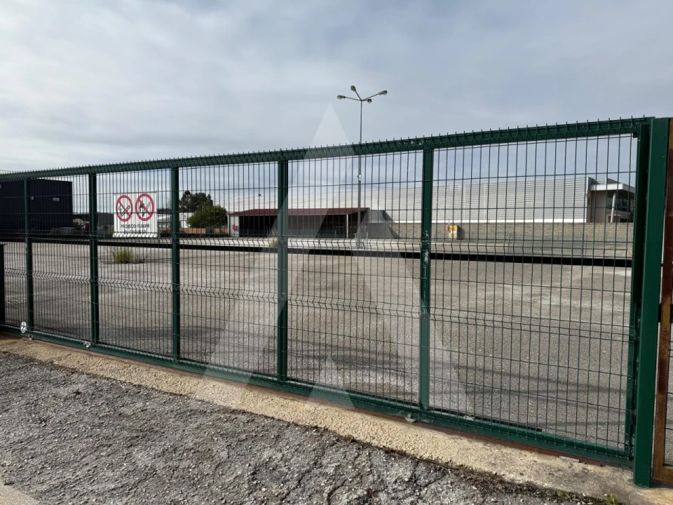 Terreno para Venda em Cadima Foto 12