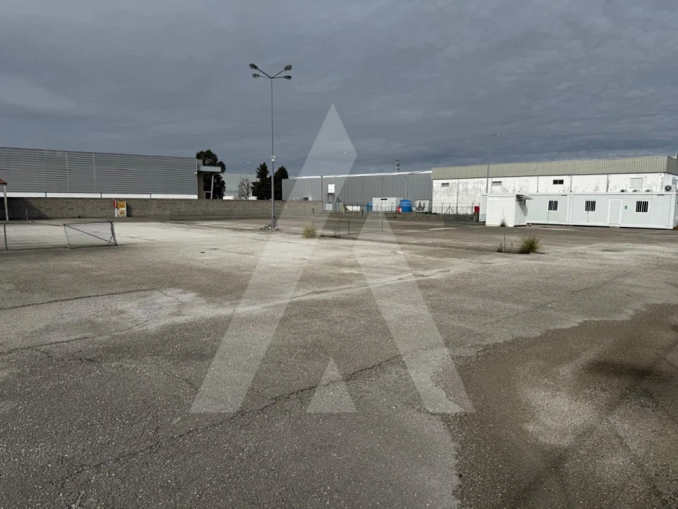 Terreno para Venda em Cadima Foto 13