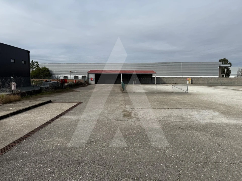 Terreno para Venda em Cadima Foto 15