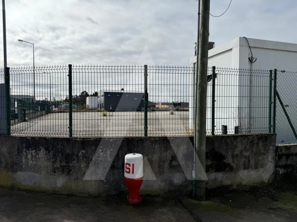 Terreno para Venda em Cadima Foto 16