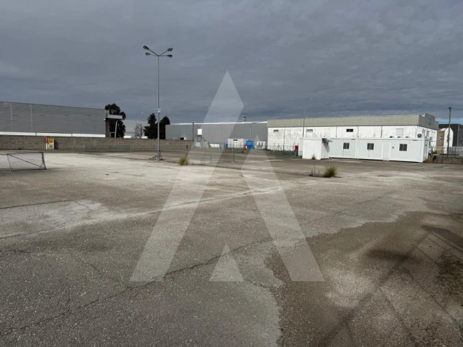 Terreno para Venda em Cadima Foto 4