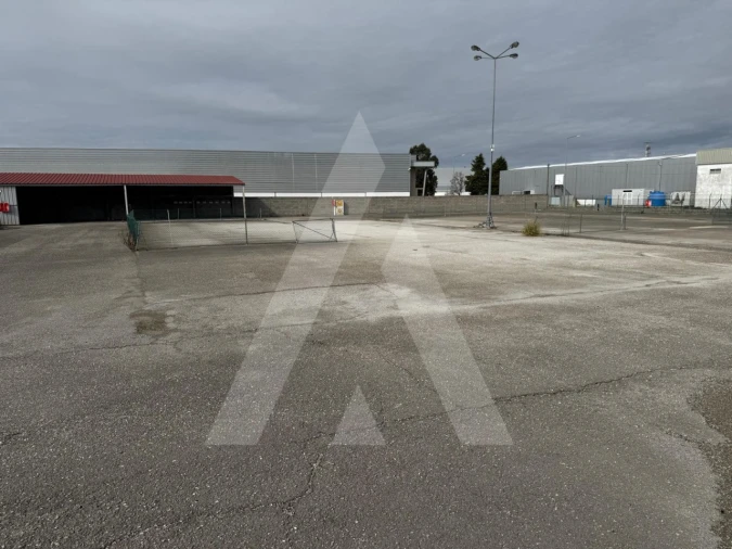 Terreno para Venda em Cadima Foto 3