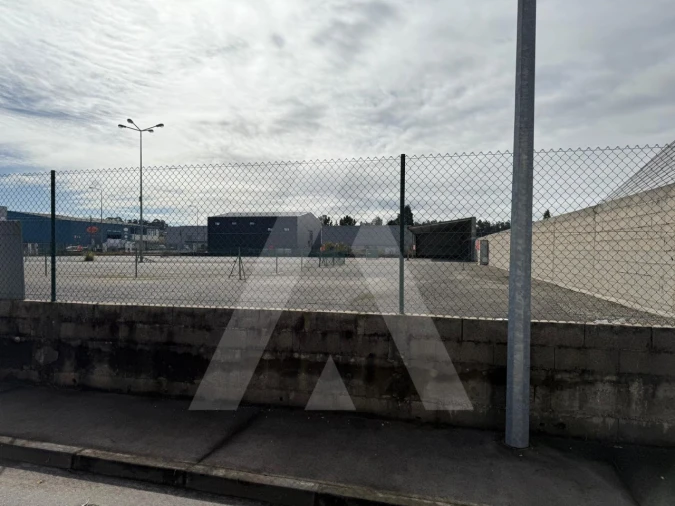 Terreno para Venda em Cadima Foto 7