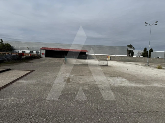 Terreno para Venda em Cadima Foto 8