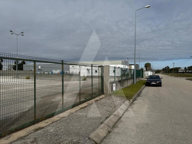 Terreno para Venda em Cadima Foto 9