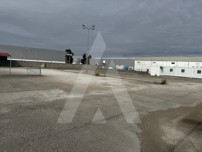 Terreno para Venda em Cadima Foto 2