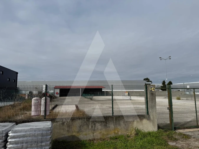 Terreno para Venda em Cadima Foto 10