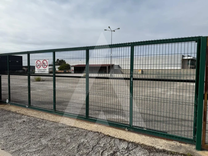 Terreno para Venda em Cadima Foto 12