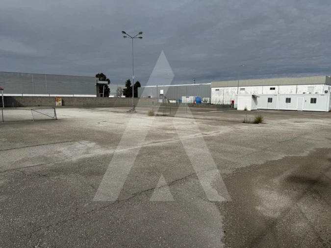 Terreno para Venda em Cadima Foto 13