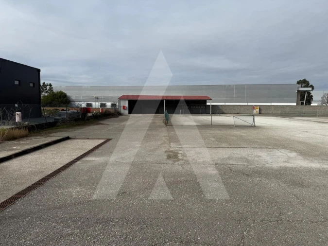 Terreno para Venda em Cadima Foto 15