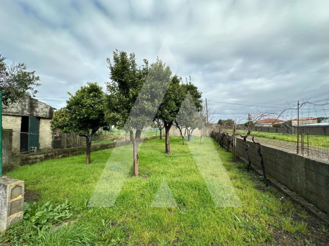 Moradia T4 para Venda em Oiã Foto 31