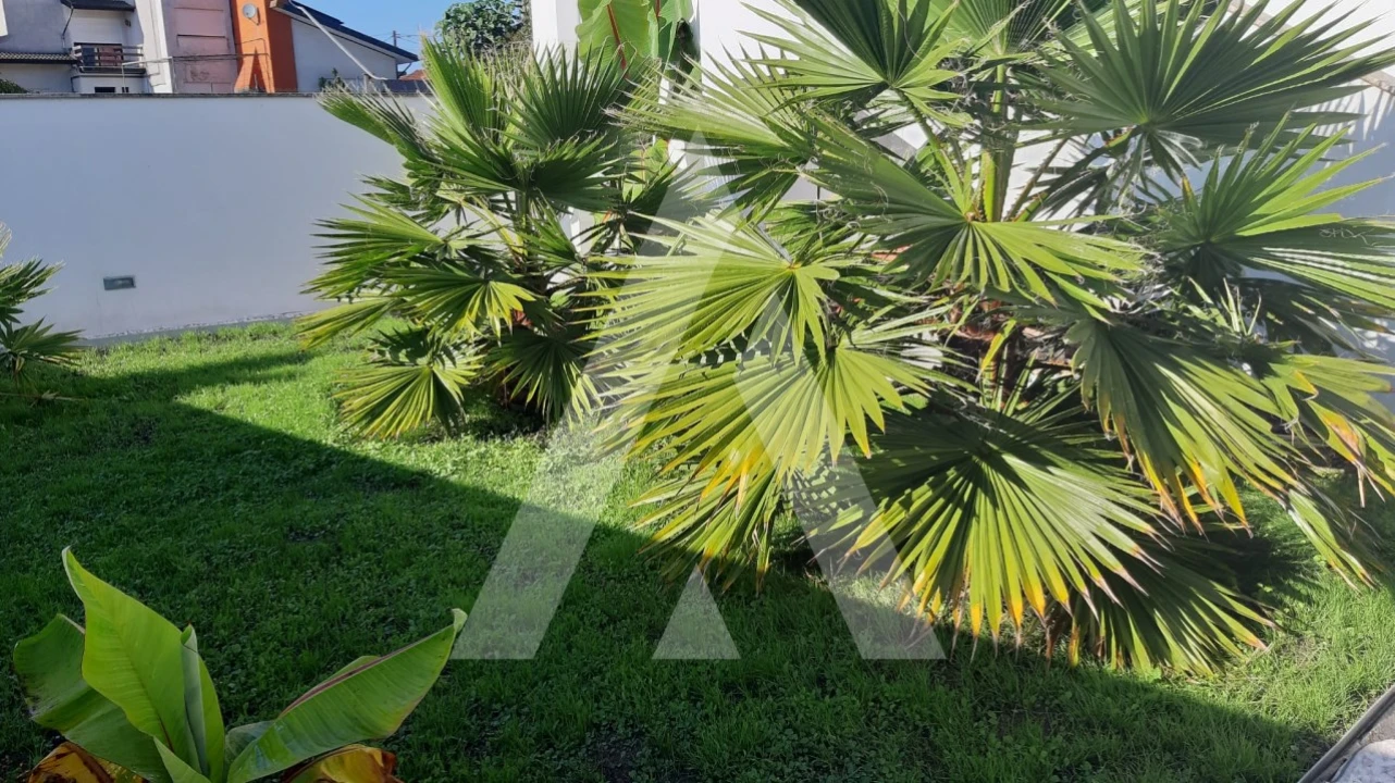 Moradia T3 para Venda em Bustos, Troviscal e Mamarrosa Foto 21