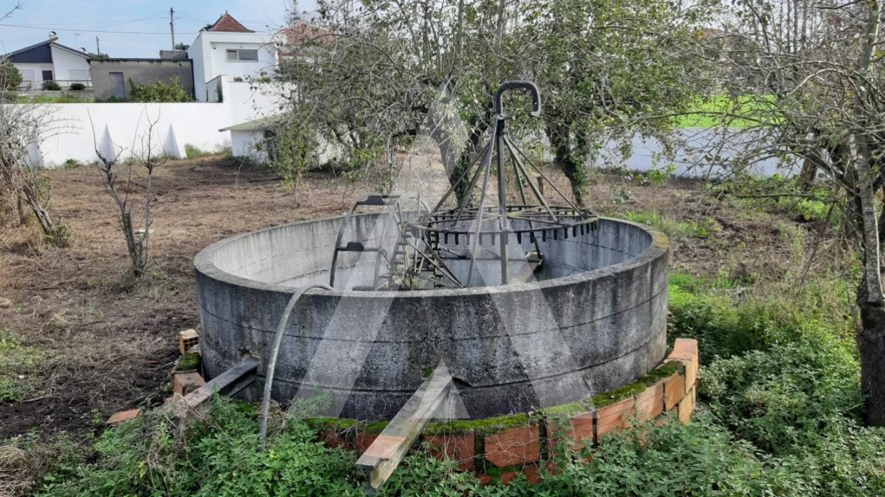 Moradia T3 para Venda em Bustos, Troviscal e Mamarrosa Foto 29