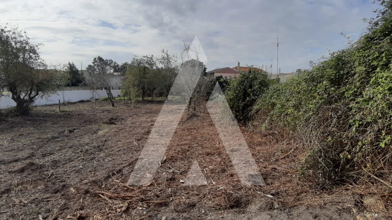 Moradia T3 para Venda em Bustos, Troviscal e Mamarrosa Foto 31