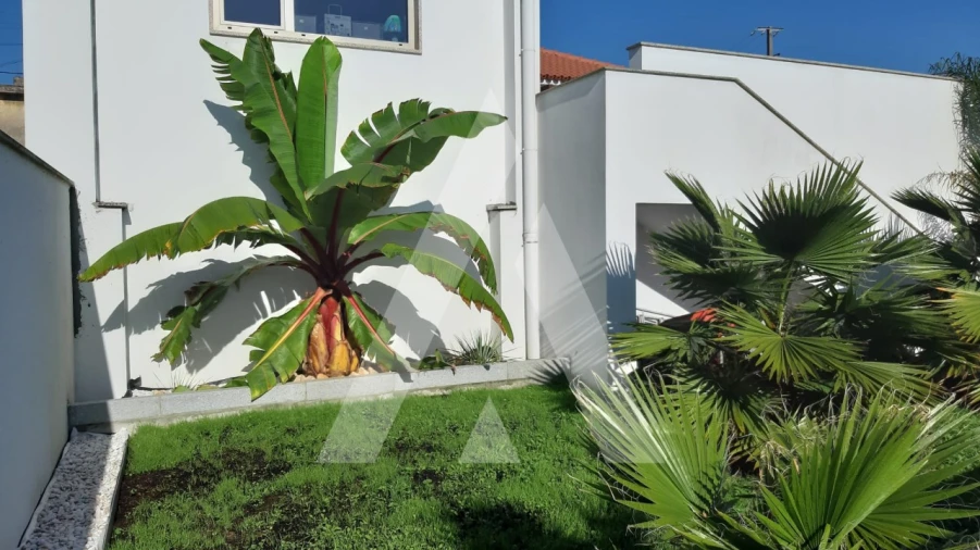 Moradia T3 para Venda em Bustos, Troviscal e Mamarrosa Foto 17