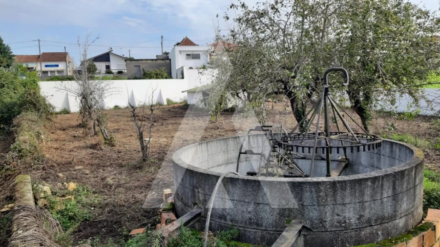 Moradia T3 para Venda em Bustos, Troviscal e Mamarrosa Foto 28