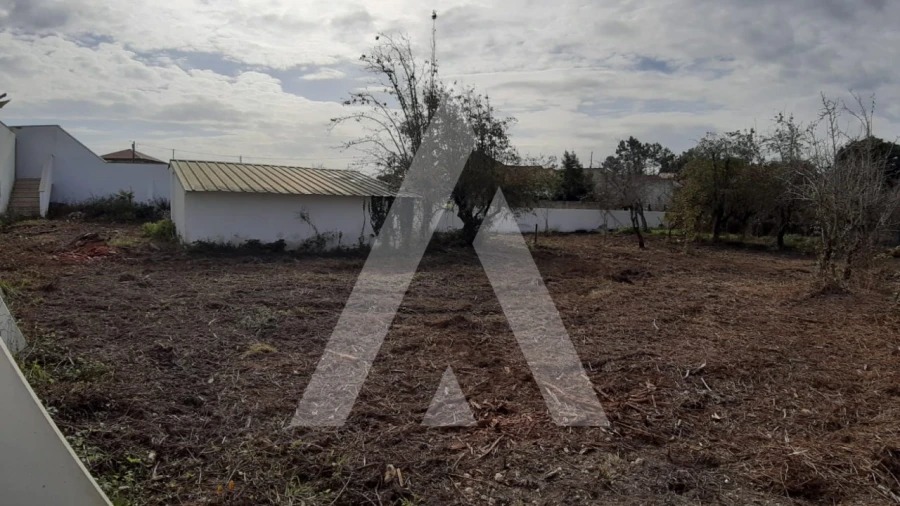 Moradia T3 para Venda em Bustos, Troviscal e Mamarrosa Foto 30