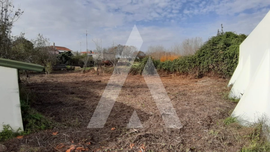 Moradia T3 para Venda em Bustos, Troviscal e Mamarrosa Foto 32