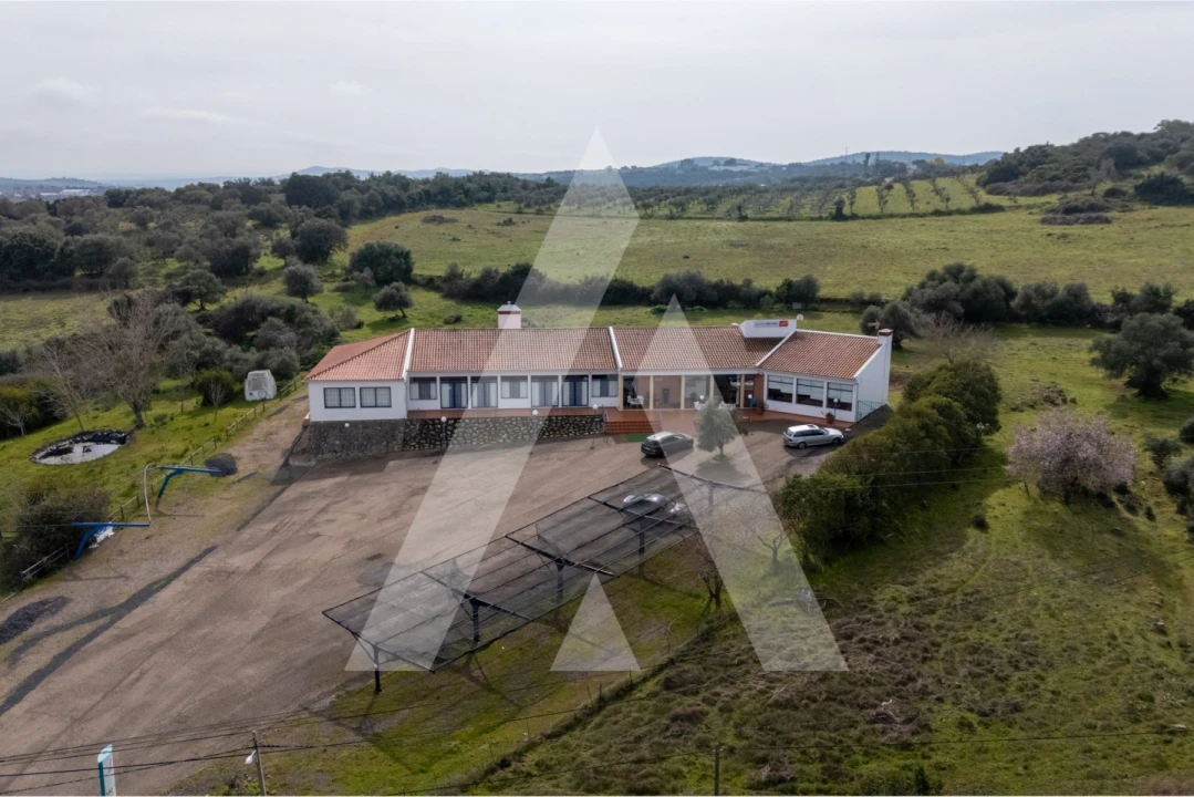 Negócio para Venda em São Bras e São Lourenço Foto 23