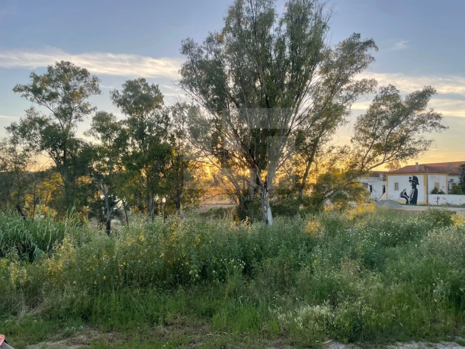 Moradia T5 para Venda em Corte do Pinto Foto 13