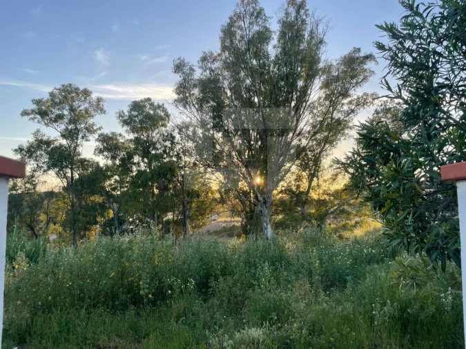 Moradia T5 para Venda em Corte do Pinto Foto 24