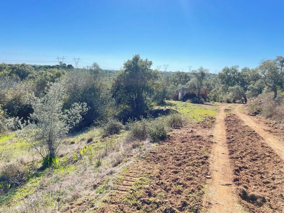 Terreno Agricola ou Rústico para Venda em São Francisco da Serra Foto 3