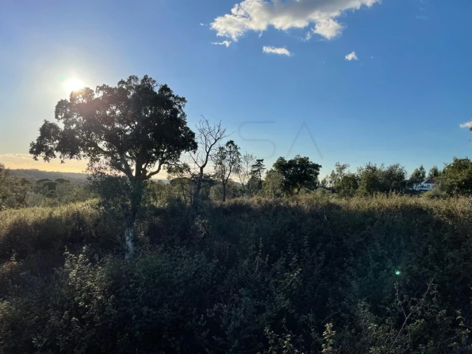 Terreno Agricola ou Rústico para Venda em São Francisco da Serra Foto 2