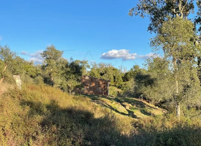Terreno Agricola ou Rústico para Venda em São Francisco da Serra Foto 7
