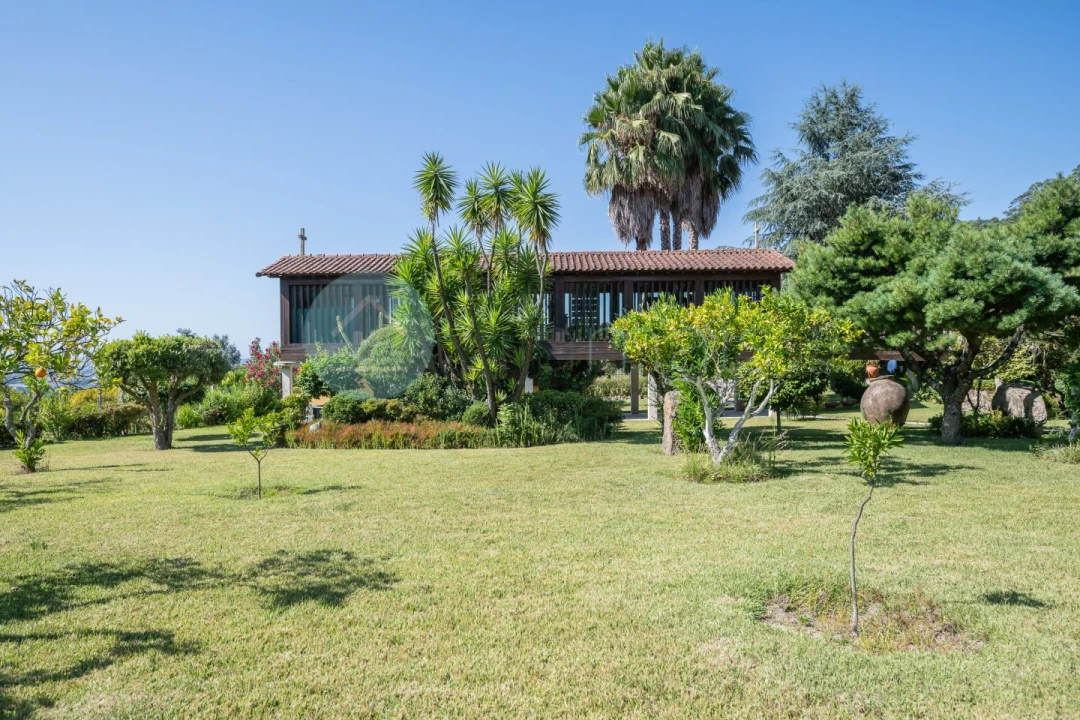 Quinta T6 para Venda em Monte Córdova Foto 29