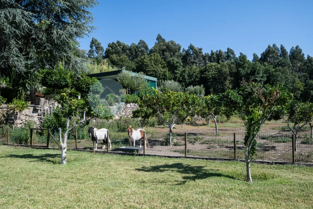 Quinta T6 para Venda em Monte Córdova Foto 37