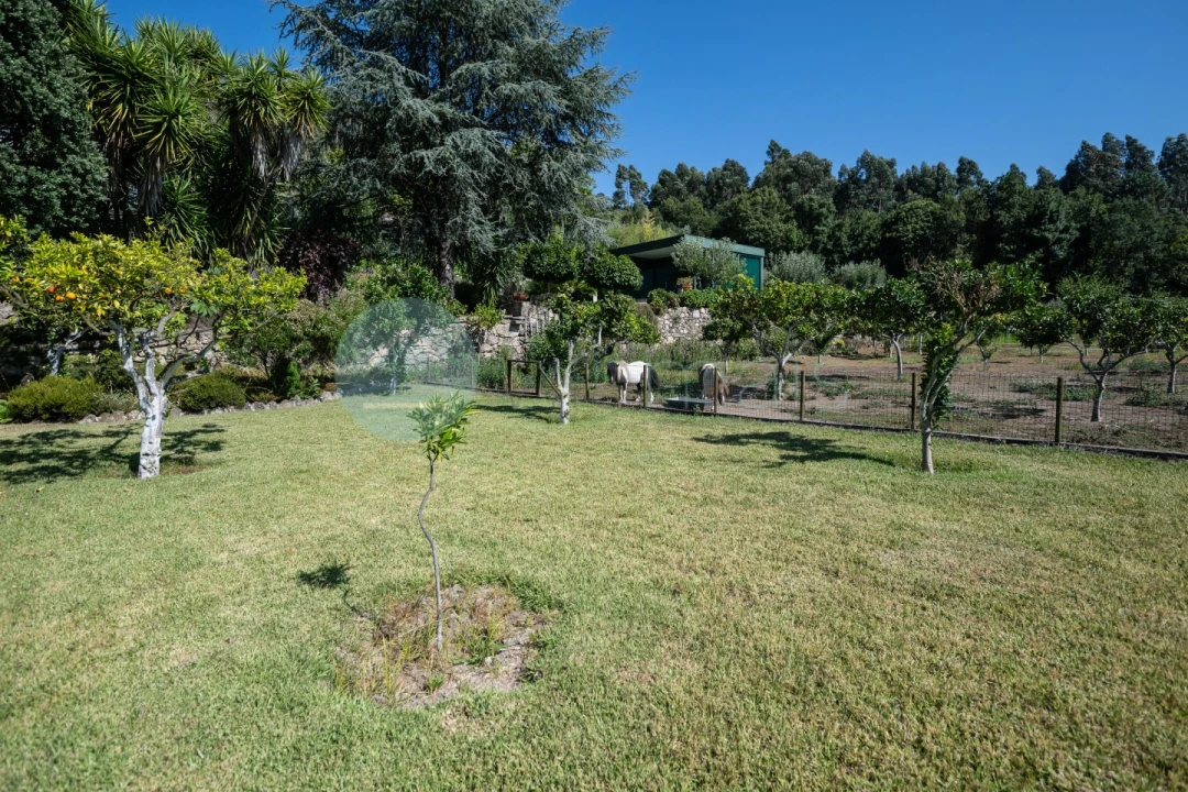 Quinta T6 para Venda em Monte Córdova Foto 38