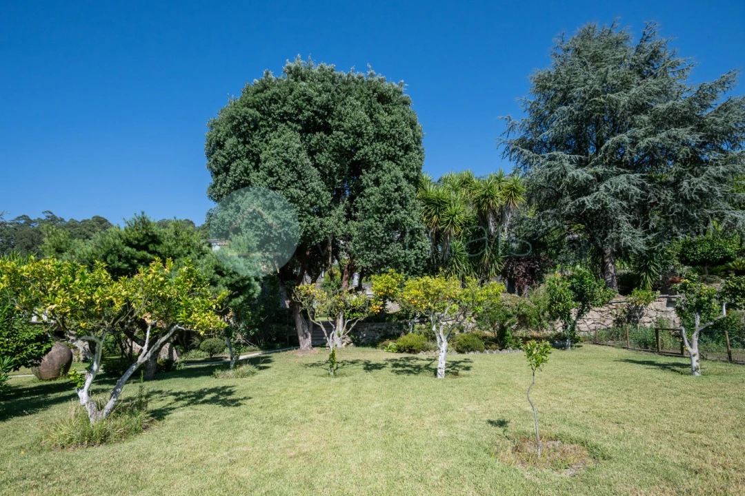 Quinta T6 para Venda em Monte Córdova Foto 39