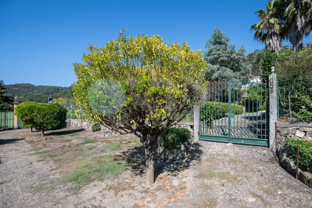 Quinta T6 para Venda em Monte Córdova Foto 47