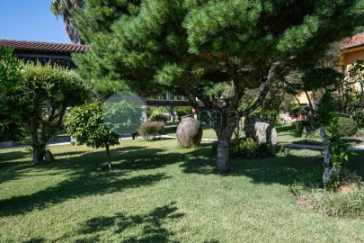 Quinta T6 para Venda em Monte Córdova
