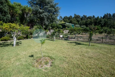 Quinta T6 para Venda em Monte Córdova