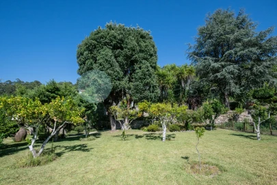 Quinta T6 para Venda em Monte Córdova
