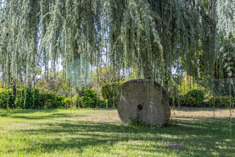 Quinta T6 para Venda em Monte Córdova Foto 22