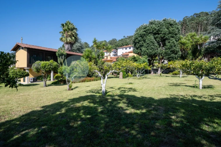 Quinta T6 para Venda em Monte Córdova Foto 30