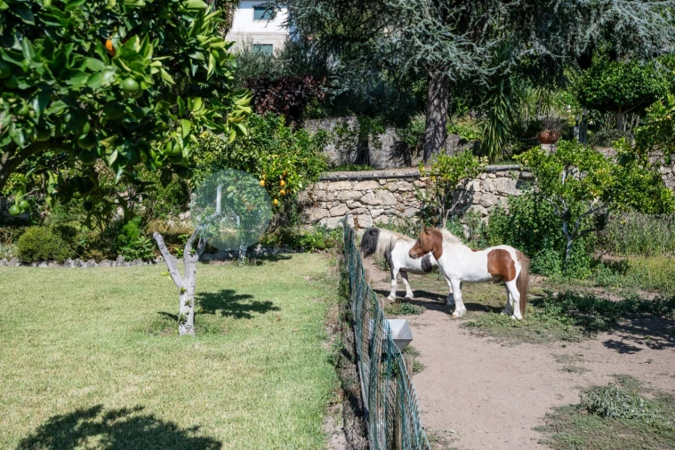 Quinta T6 para Venda em Monte Córdova Foto 31